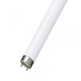 Leuci lampada neon 36w t8 26mm naturale bianco marino e dolce per ciclidi