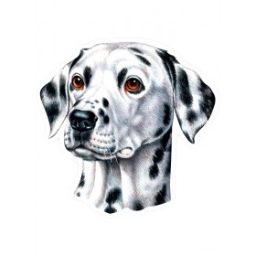 Trixie Pet Sticker Dalmata