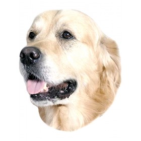 Trixie Pet Sticker Golden Retriver
